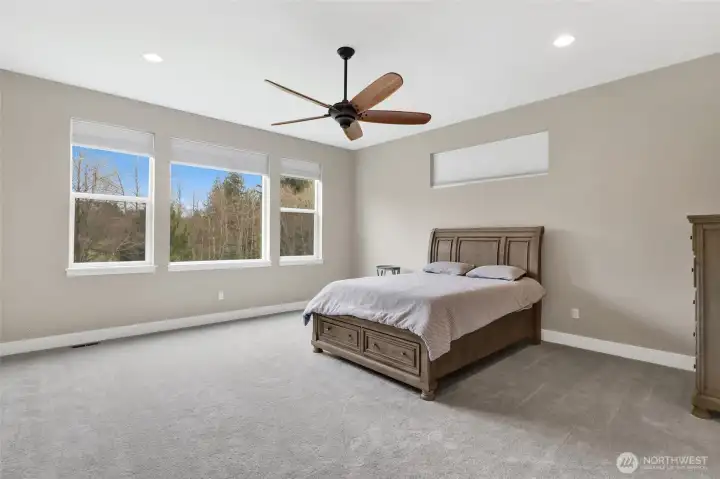 Lower level bedroom (secondary bedroom #3)