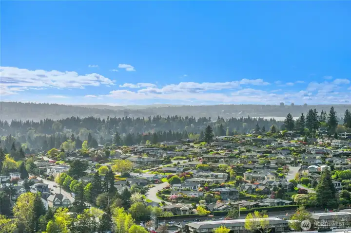 The west views from the deck are beautiful and fun to watch.  And you can see Lake Washington from your deck.