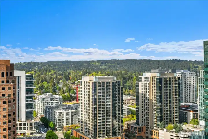 The north views are panoramic and beautiful.