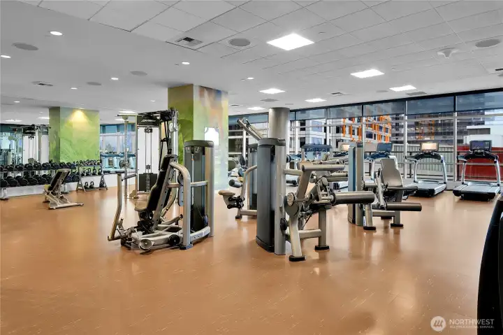 The gym is clean, light and bright and prides itself on remaining clean and immaculate.