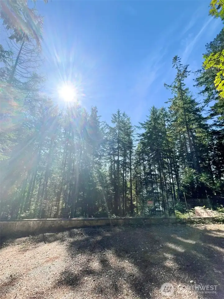 Great sun light comes thru the trees.