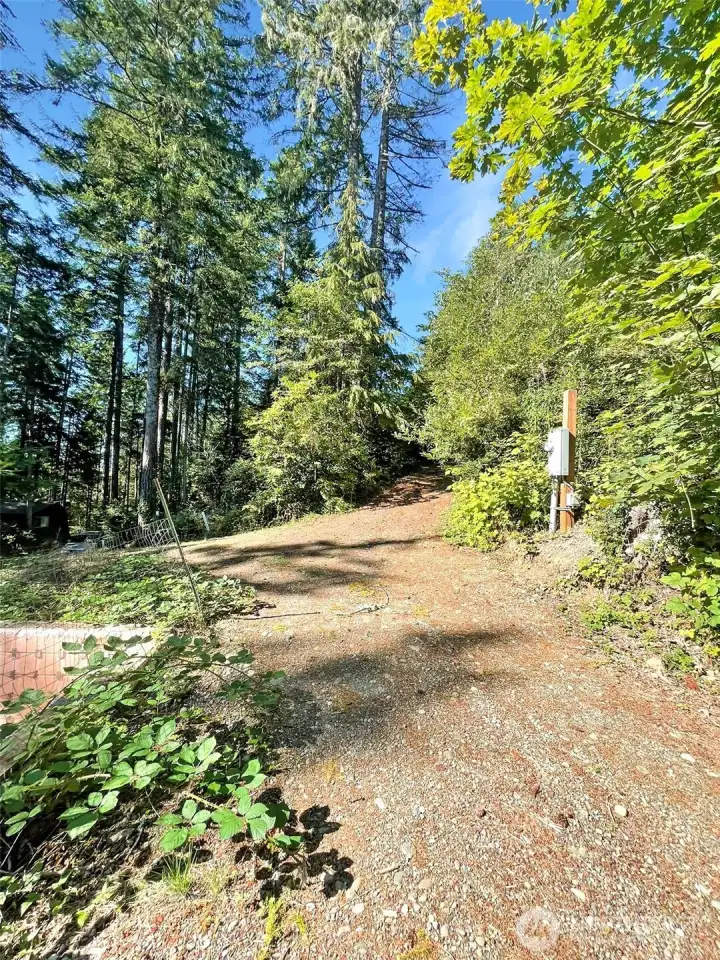 Circular driveway