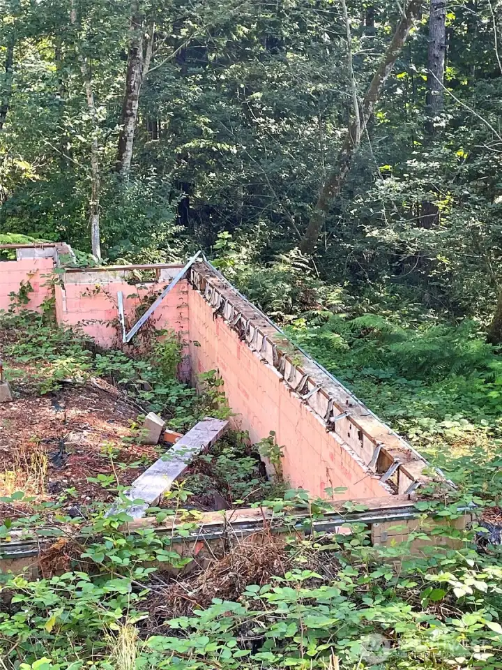 Close up septic comes in from this side.
