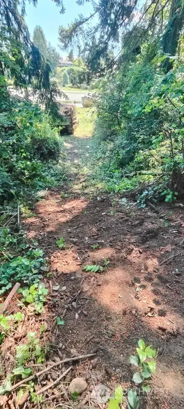 Pathway to waterfront