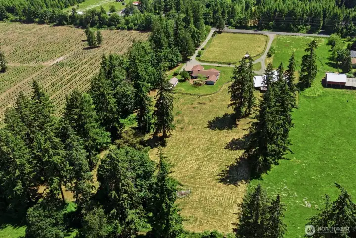 An aerial view of the property from the back shows the mature fir trees that provide privacy and beauty all around. An aerial view of the property from the back shows the mature fir trees that provide privacy and beauty all around.