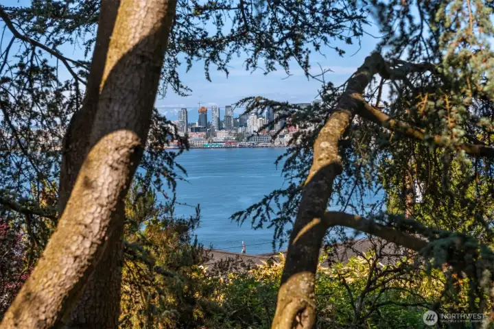 A nice peek view of downtown and the Cascades is a nice surprise from the primary bedroom.