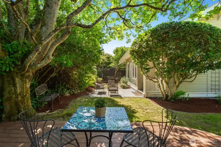 Part of the spectacular appeal of this significant home is the wonderful garden and outdoor spaces you seldom see in the city.