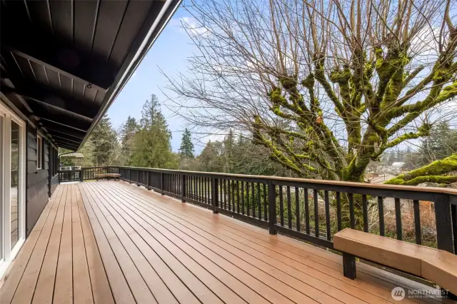 View of Deck from Kitchen Slider- 1000+ square feet of composite decking.