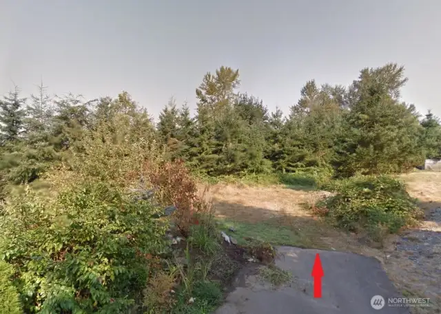 Property line starts just past the pavement.