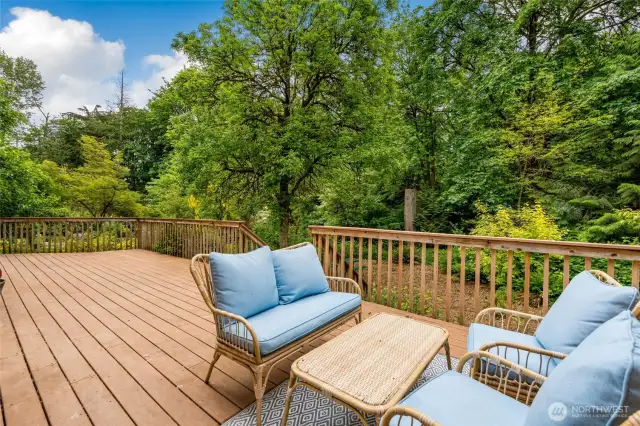 Entertainment sized back deck