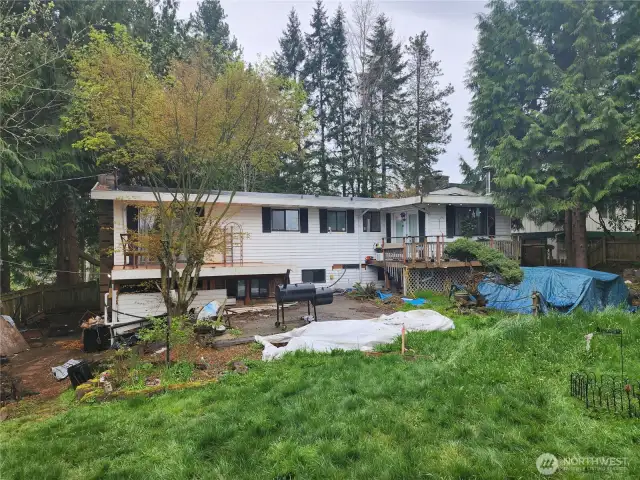 Back yard will have new septic installed