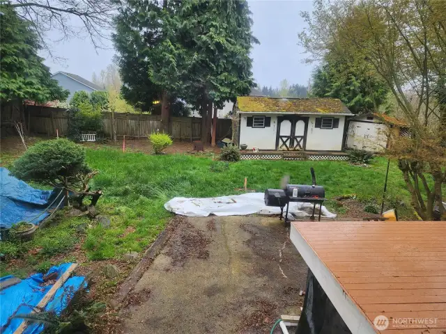 Back yard with shed could make a cute DDU