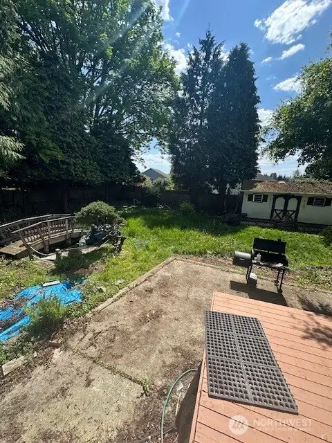large back yard