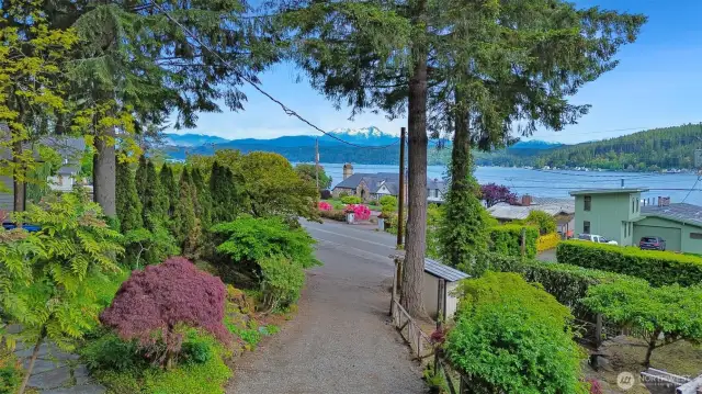 Lush landscaping along the driveway, with views of the Olympics!