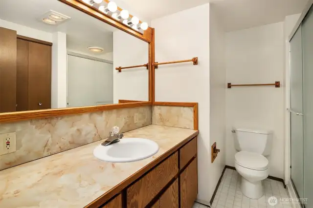 Lower level bathroom