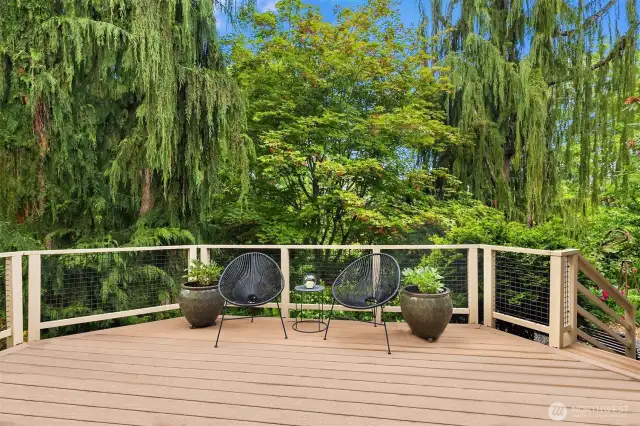 Deck off of media room on lower level