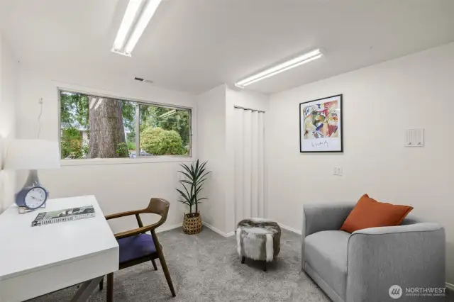 Lower level bedroom/den.