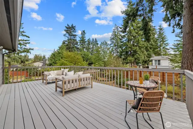 Entertainment sized deck!