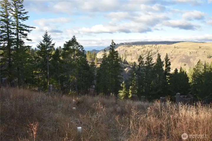 787 NW view & septic laterals