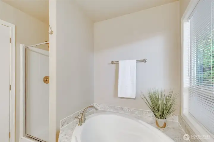 The separate walk-in shower adds an extra touch of luxury to the primary suite.