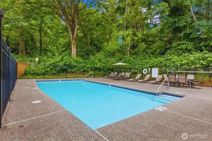 Community pool