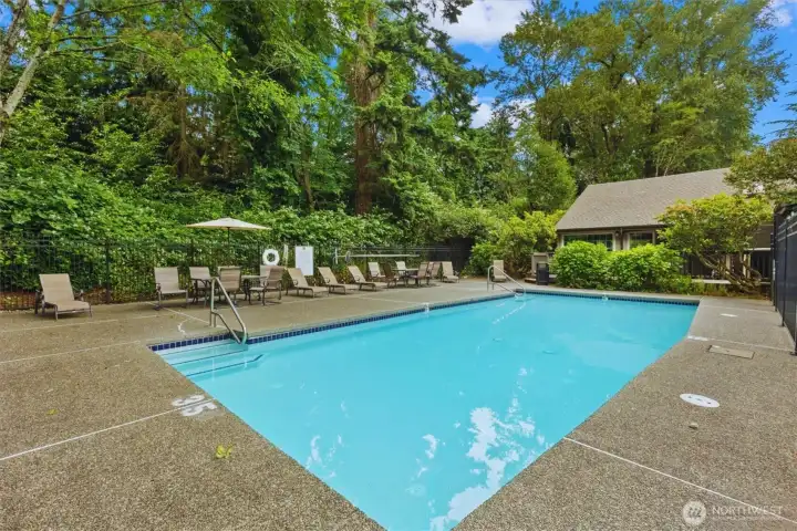 Community pool