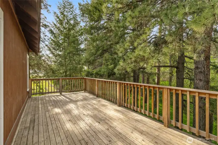 The slider off of the kitchen area leads to a BIG deck overlooking the treed property.