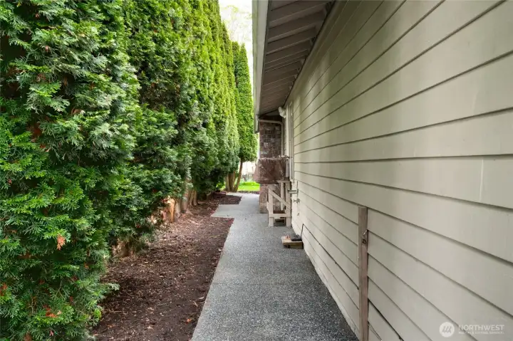 Exposed aggregate walkway leads to the back patio with a row of privacy trees defining the area.