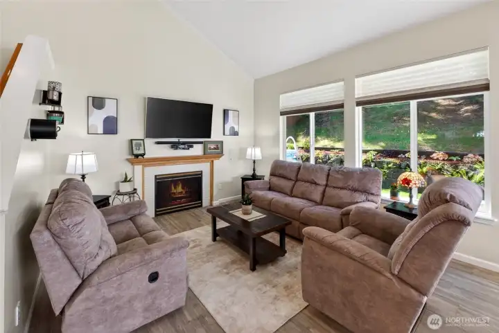 Gas Fireplace Gas Fireplace