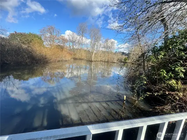 Here's the secluded waterfront, that's right next this homes spacious covered deck.
