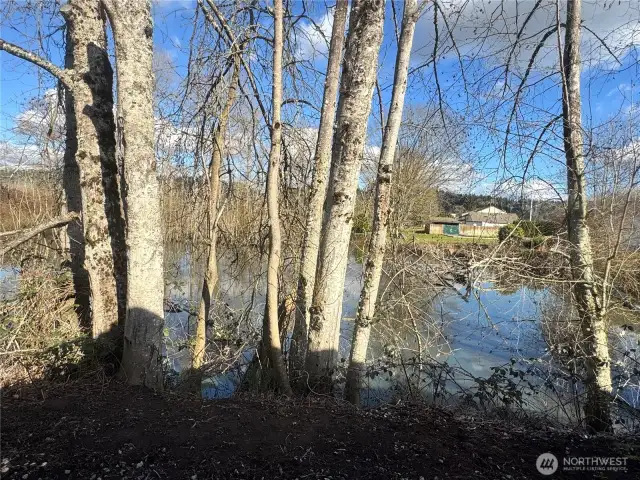 This is the home's back yard!