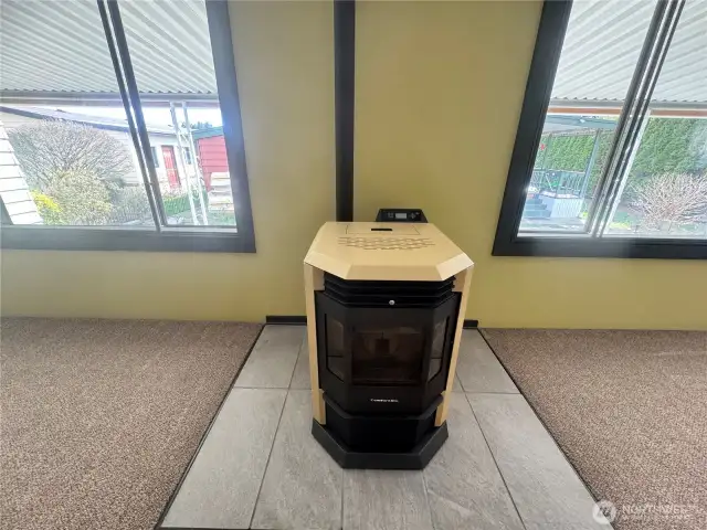 The pellet stove and its hearth.