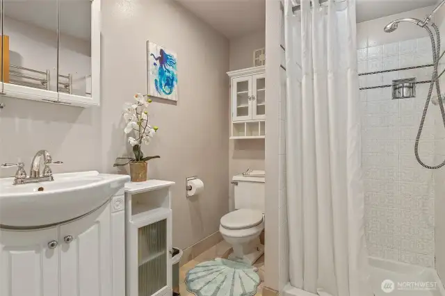 Downstairs Bath