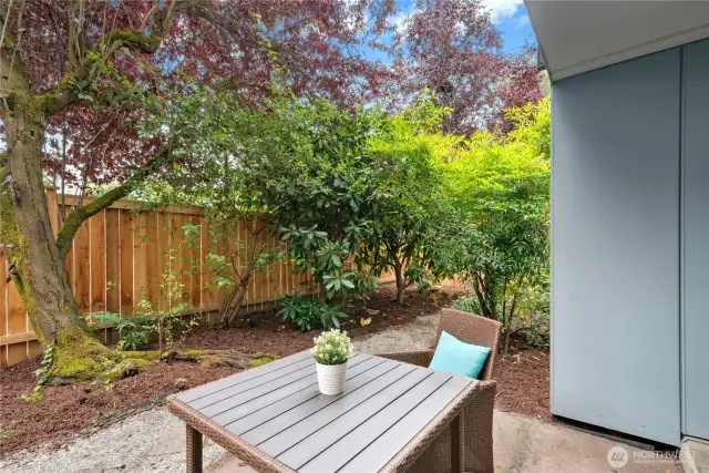 Private, fully fenced and large back yard.
