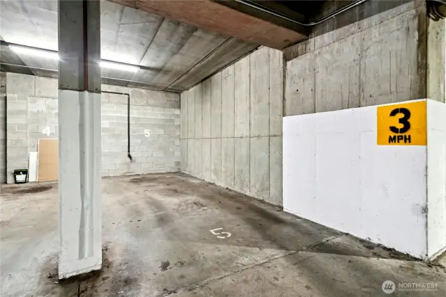 Secured garage parking spot dedicated to unit. With additional first come first served parking on the exterior.