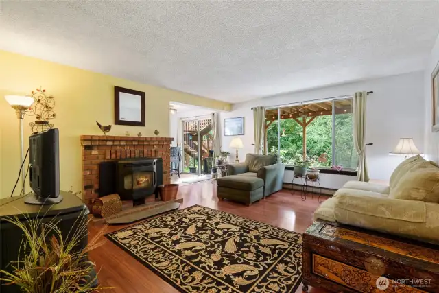 Living room with efficient pellet stove