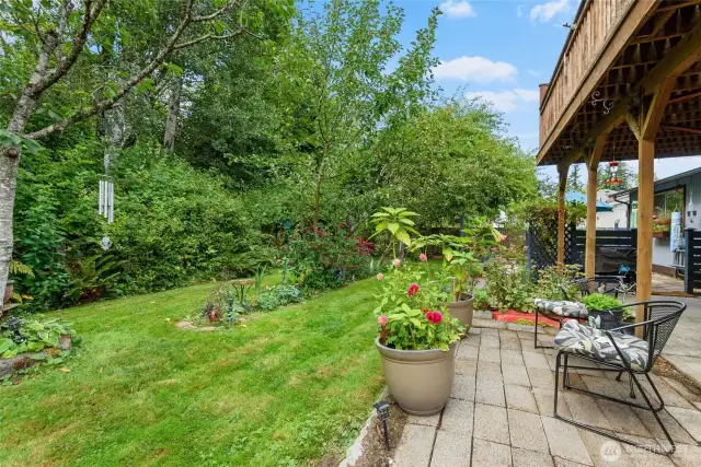 Back yard