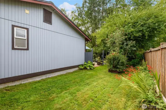 North side yard