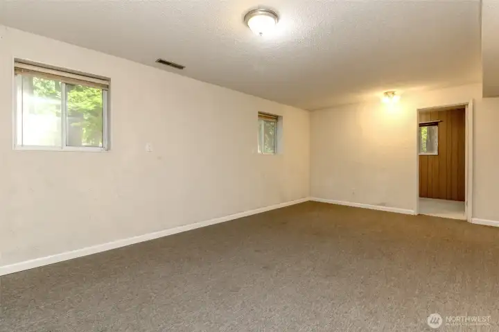 Lower Level Living Room