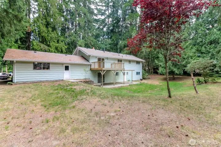 HUGE YARD
