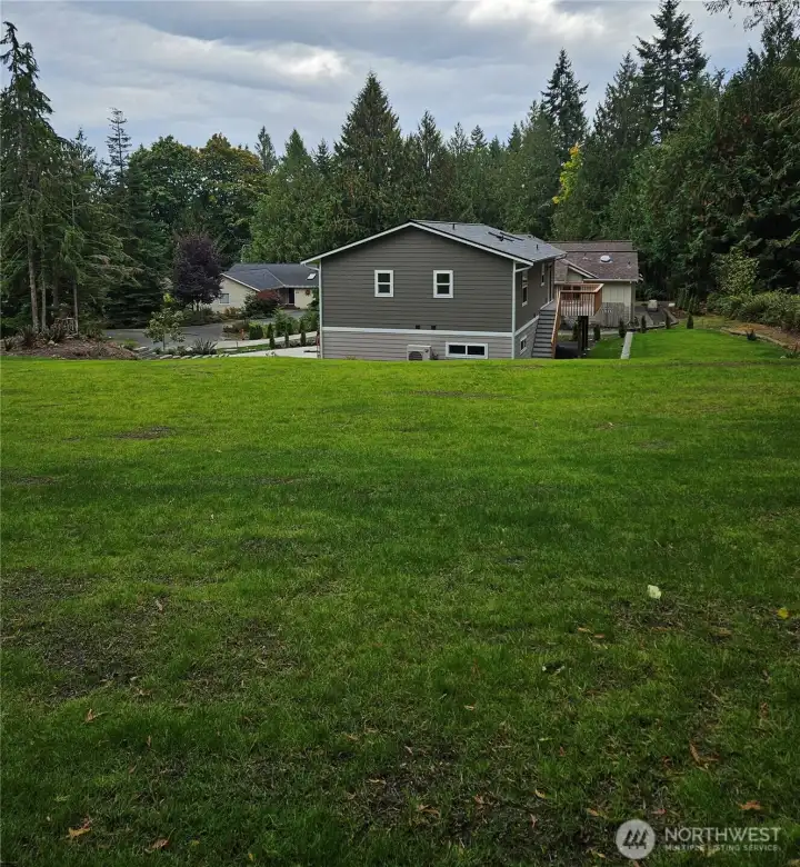 Big back yard with greem space