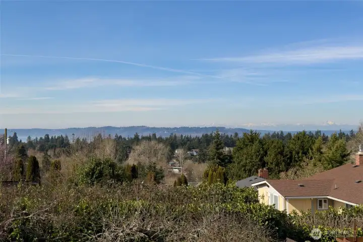 Stunning Puget Sound & Olympic Mountain view from deck