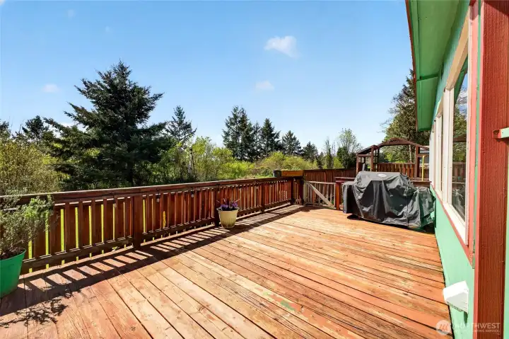 From the rear deck the view of the wild life is amazing, From eagles to bunny rabbits.
