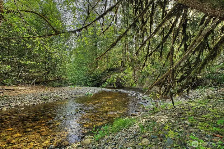 Big Beef Creek with great fishing!