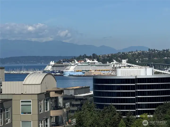Olympic Mountain range views from your fabulous rooftop deck. Olympic Mountain range views from your fabulous rooftop deck.