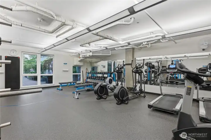 Another look at the gym & more equipment. Another look at the gym & more equipment.