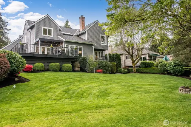 Privacy plantings between both neighbors