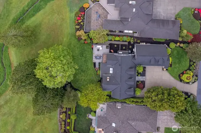 Privacy plantings between both neighbors
