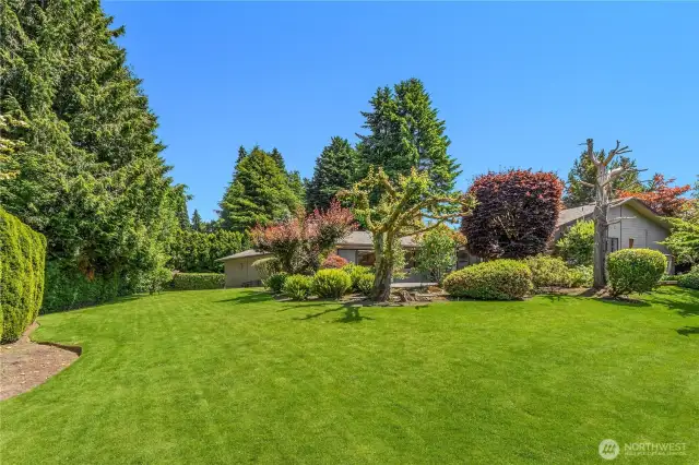 18,000sqft lot!