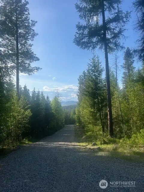 View off of Wild Turkey Road